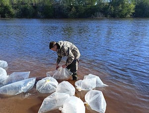 По щучьему велению