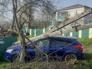 «Адыгейские электрические сети» зарегистрировали 12 повреждений ЛЭП при ДТП с начала 2024 года