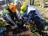 Ростовская АЭС поддержала акцию «Зелёная Весна-2024»