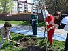 Сахалинские энергетики присоединились к акции «Сад Памяти»
