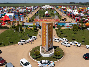 «Россети Кубань» обеспечат электроснабжение международной агровыставки «Золотая Нива»