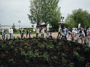 В честь юбилея Самарской ГРЭС высажены розы на набережной областной столицы