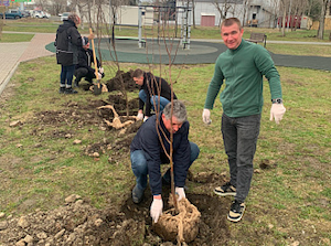 Коллектив ДЭК высадил деревья в рамках акции «Сад памяти»