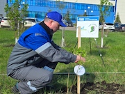 В рамках акции «Сад памяти» при поддержке «Газпром ПХГ» высажено более 19 тысяч деревьев