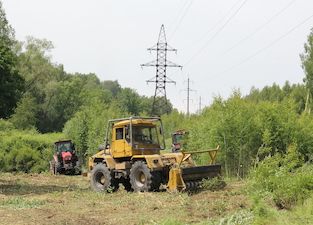«Пензаэнерго» расчистило около 50 га просек воздушных ЛЭП