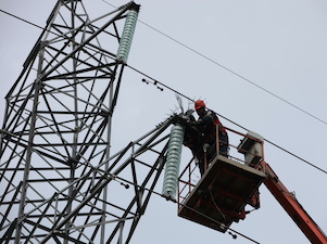 МЭС Центра установили птицезащитные устройства на магистральных ЛЭП, питающих Кострому