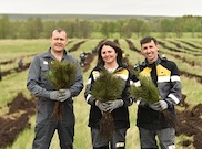 «Башнефть» высадила более 40 тысяч деревьев