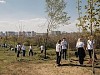 «Роснефть» высадила кленовую аллею на склоне Мамаева кургана