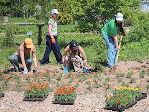 В городе-спутнике Смоленской АЭС высадили 30 000 цветов
