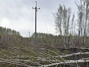 Энергообъекты «Россети Новосибирск» прошли испытание непогодой в майские праздники