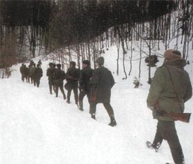 Кабан и охота на него