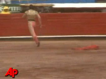 В Мексике арестован испугавшийся быка матадор