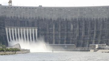 Плотины и рыба