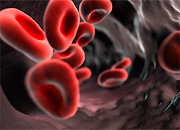 «Смоленскэнергосбыт» провел акцию по сдаче донорской крови