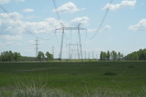 МЭС Сибири укрепляют фундаменты опор межгосударственной ЛЭП  Рубцовская – Усть-Каменогорская