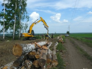 «Ульяновские РС» расчистили около половины просек ВЛ