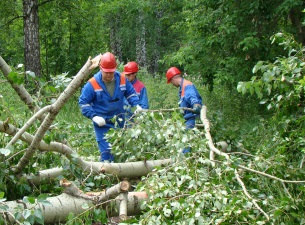 «Пермэнерго» заменило поврежденные ночным ураганом изоляторы на ВЛ «Каменный Лог – Кын».