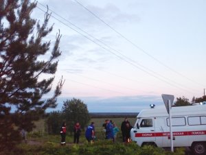 Полет экстремала стал причиной отключения электроэнергии в 6 населенных пунктах Республики Коми