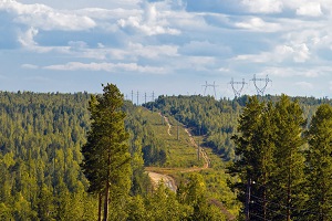 ФСК ЕЭС пресекает незаконную вырубку леса в охранных зонах воздушных ЛЭП на Урале
