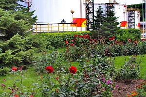 «Роснефть» в 2015 году потратила 71,6 млрд рублей на природоохранные мероприятия