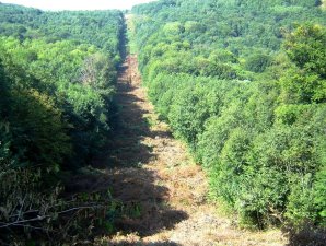 «Адыгейские электрические сети» расчистили более 60 га трасс высоковольтных ЛЭП