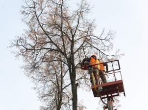 Почти 1200 га просек вдоль ЛЭП расчистили в Московской области с начала 2019 года