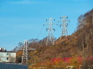 «Камчатскэнерго» расчистит 700 га просек ЛЭП