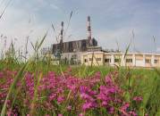 Нерюнгринская ГРЭС перешла на летний режим работы