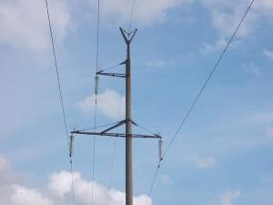 «Саратовские сети» установили птицезащитные устройства на ЛЭП 110 кВ Хопер – Казачка