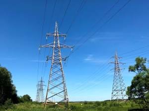 «Владимирэнерго» предоставило 100 кВт мощности фермерскому хозяйству