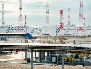 «Транснефть-Верхняя Волга» освободит от поросли свыше 354 Га трасс трубопроводов