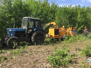 «Оренбургэнерго» расчистило 152 га охранных зон ЛЭП