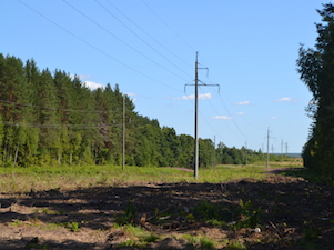 «Чувашэнерго» расчистило около 220 га трасс ЛЭП