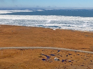 Проект разработки Харасавэйского месторождения рассчитан на 108 лет