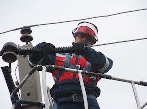 «Челябэнерго» устанавливает птицезащитные устройства в Еткульском районе