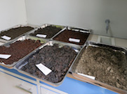 Красноярские эксперты исследуют пробы воды и почвы с места разлива нефтепродуктов на Таймыре