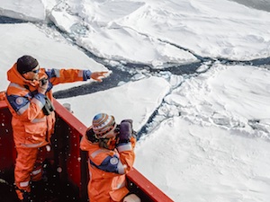 «Газпром нефть» отправила в Арктику экспедицию для изучения «морского единорога»