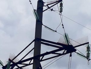«Борисовские электрические сети» установили на ЛЭП 2768 птицезащитных устройств