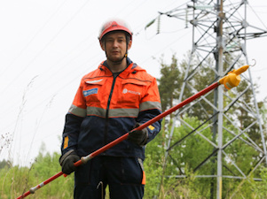 «Ленэнерго» расчистило свыше 2000 га просек ЛЭП
