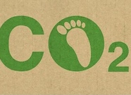 В Белгородской области появятся сеть карбоновых полигонов