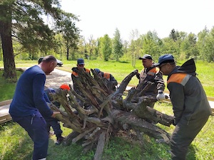 Нефтяники помогают обустроить новый экологический парк в Бузулукском бору