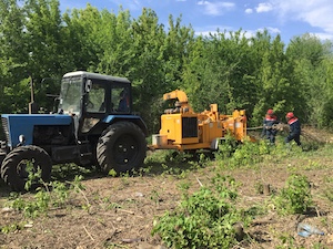 «Оренбургэнерго» расчисткит 463 га охранных зон ЛЭП