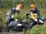 Предприятия «Роснефти» очистили более 250 га территорий в ходе акции «Зеленая весна - 2023»