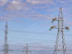 МЭС Юга установят 1200 птицезащитных устройств на магистральных ЛЭП Астрахани