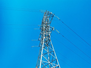 «Саратовские распределительные сети» заменили 305 изоляторов и установили 15 птицеотпугивающих устройств