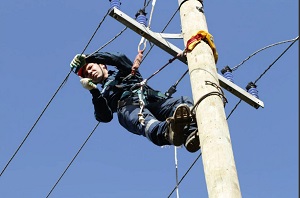 Национальный и межгосударственный комитеты по стандартизации в электроэнергетике разработают и обновят 100 стандартов