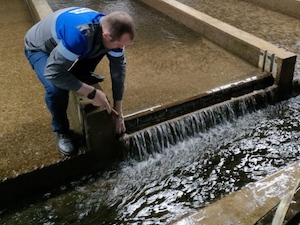 «Газпром инвест» пополнил водоемы России мальками ценных промысловых рыб