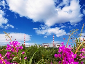 Кольская АЭС за 50 лет эксплуатации выработала более 460 млрд кВт/ч электроэнергии