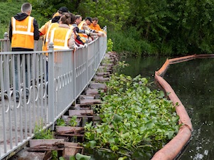 НТМК выпустил в прудок-осветлитель 600 высших растений для очистки воды