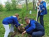 На Коршуновском ГОКе в честь 20-летия Мечела высадили 20 деревьев